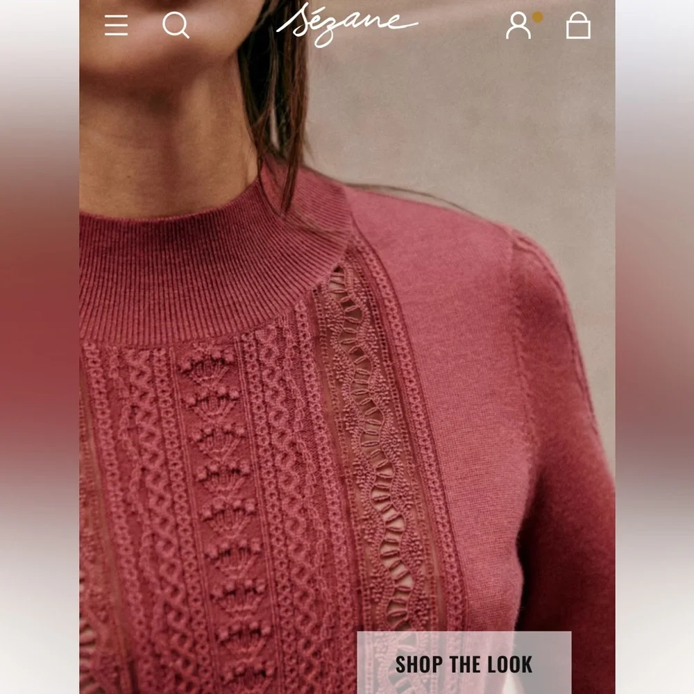 Sezane Janis Jumper in Rosewood - Picture 9 of 12